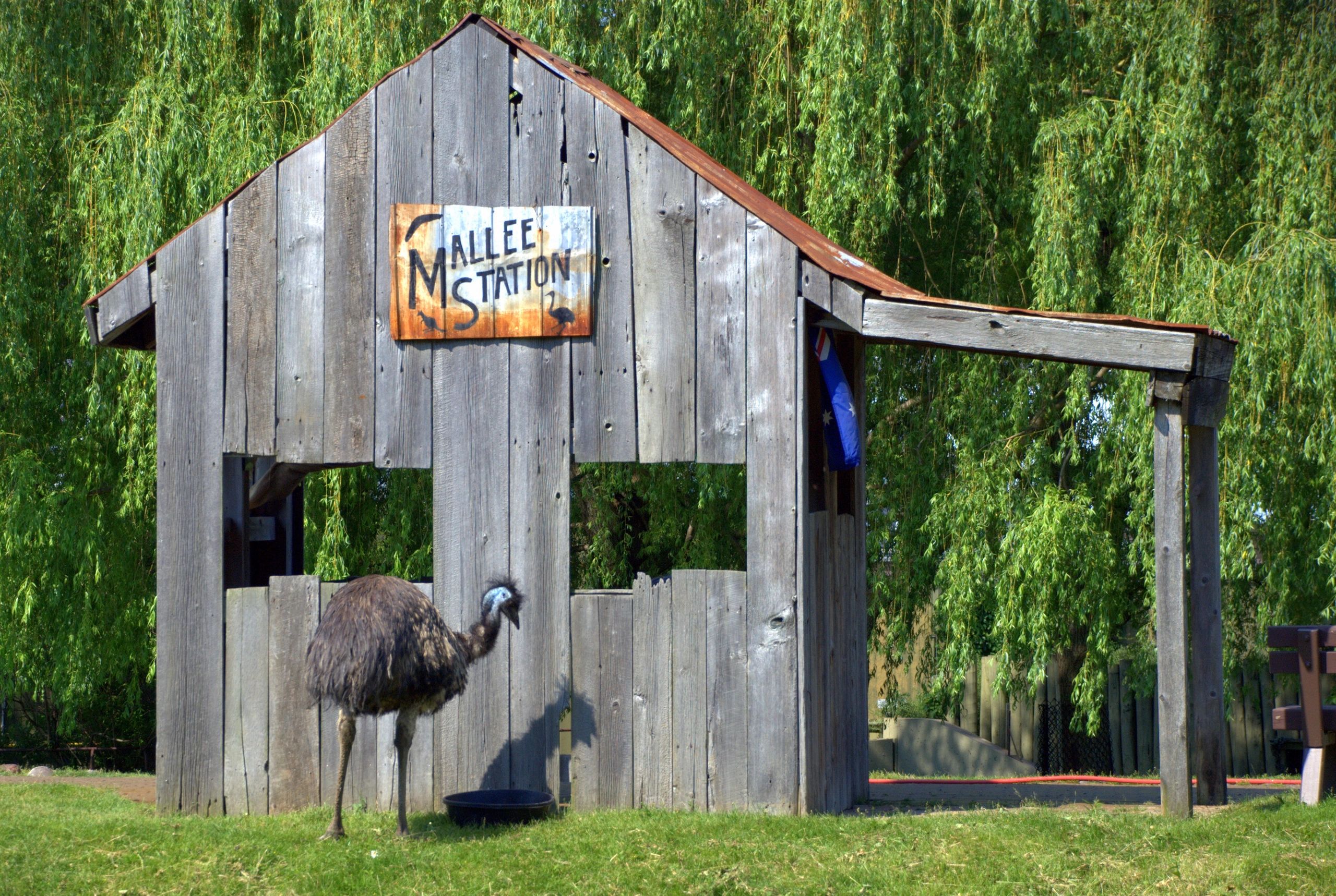 Zoo - Australasia Outback